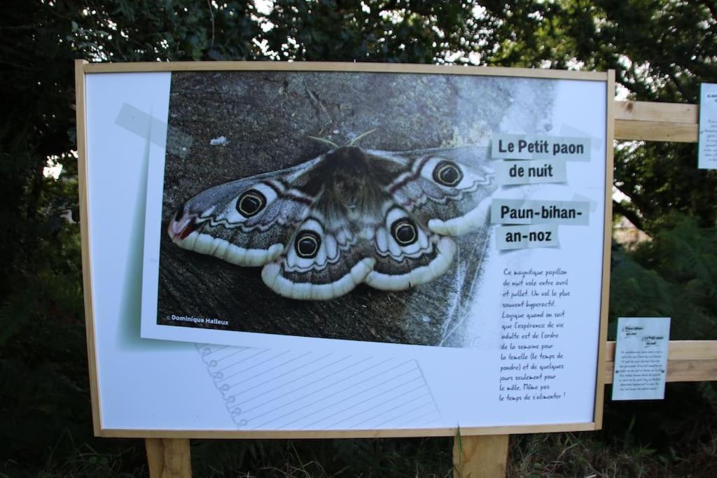 Villa La Petite Bretonne Plounerin Exterior foto